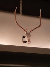 Load image into Gallery viewer, Large Euro Mount Hanger