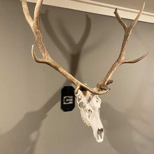 Load image into Gallery viewer, Large Euro Mount Hanger