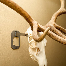 Load image into Gallery viewer, Large Euro Mount Hanger