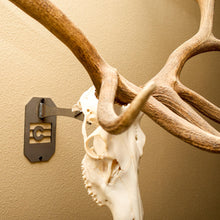 Load image into Gallery viewer, Large Euro Mount Hanger