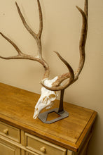 Load image into Gallery viewer, Small European Mount Hanger