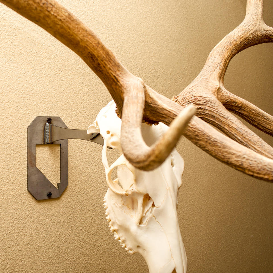 Large Euro Mount Hanger