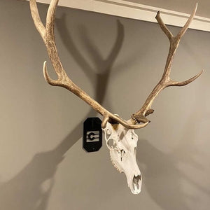 Large Euro Mount Hanger