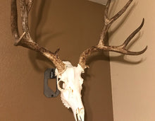 Load image into Gallery viewer, Small European Mount Hanger
