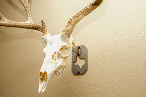 Texas Euro Skull Hanger - Small