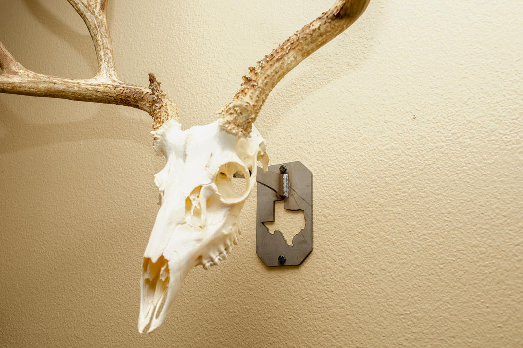 Texas Euro Skull Hanger - Small